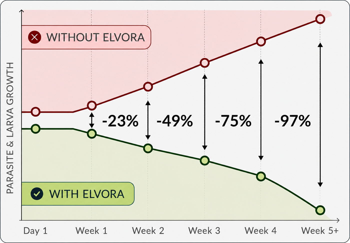 Product results graphic
